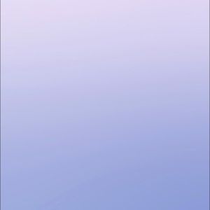 Meet your Posher, Elin